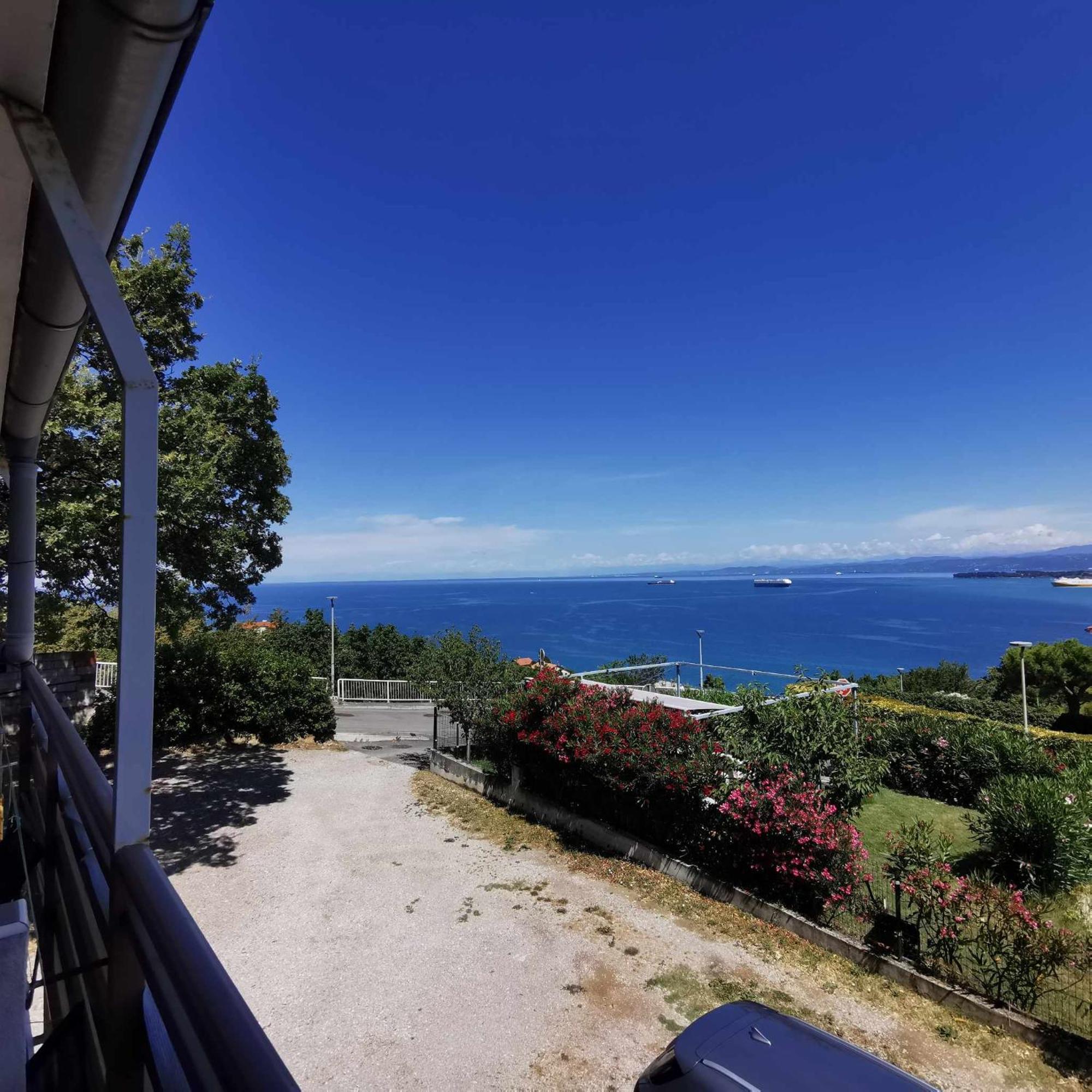 Studio Vesna & Zan Koper Dış mekan fotoğraf