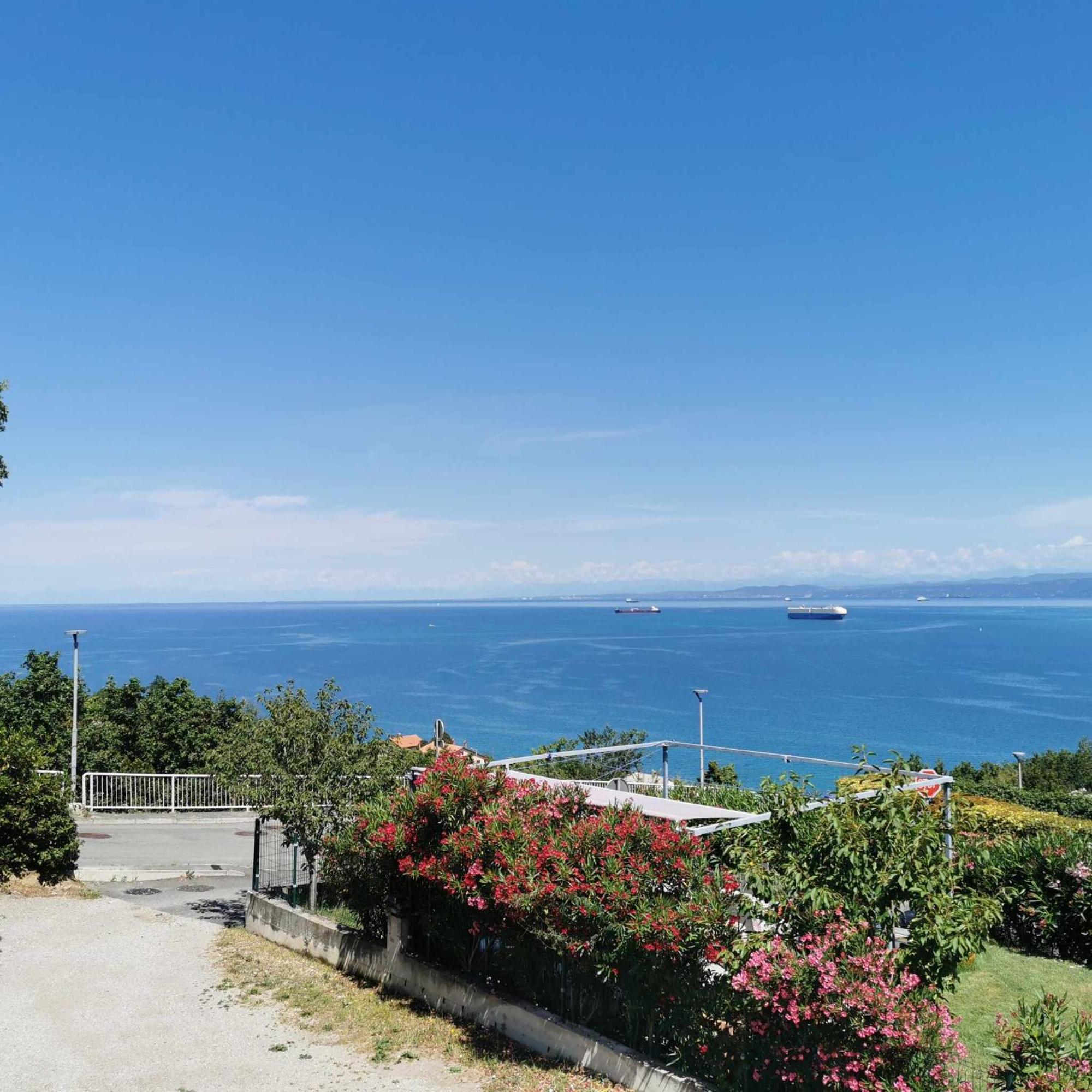Studio Vesna & Zan Koper Dış mekan fotoğraf
